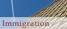 Work visas, naturalization, cancelation of removal, asylum, relief under the convention against torture, U visas, T visas, representation at bond hearings, and deferred action for childhood arrivals (DACA)